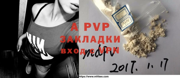 ECSTASY Белокуриха