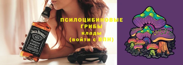 ECSTASY Белокуриха