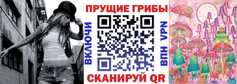 Галлюциногенные грибы Psilocybe  где можно купить наркотик  Краснокамск 